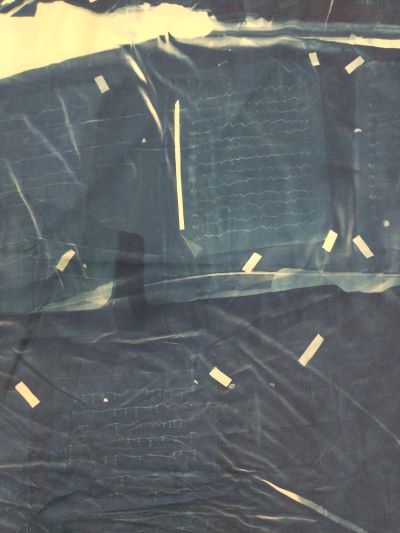 bach cyanotype project
