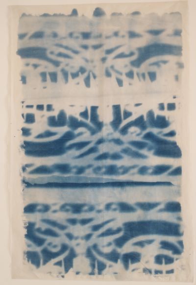 paris balcony cyanotype project
