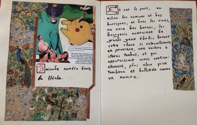 bovary book page 22